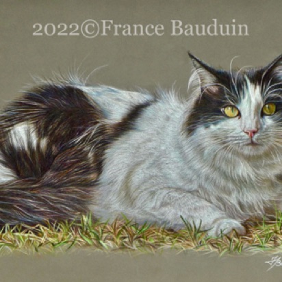 Réglisse - 27 hours
Dark Grey Pastelmat
10.5" x 17"
Ref: Sylvie Fleury
